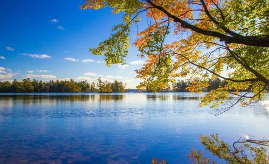 Dlaczego warto dbać o środowisko?