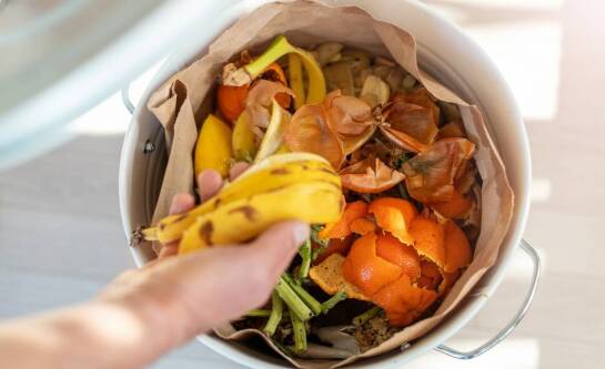 Co to są odpady biodegradowalne?