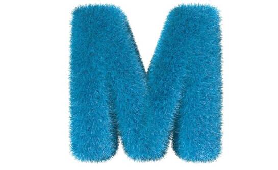 Ile kosztuje wywiezienie gruzu?