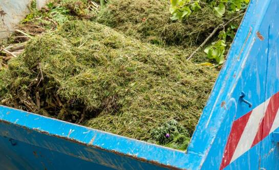 Gdzie wyrzucać skoszoną trawę?