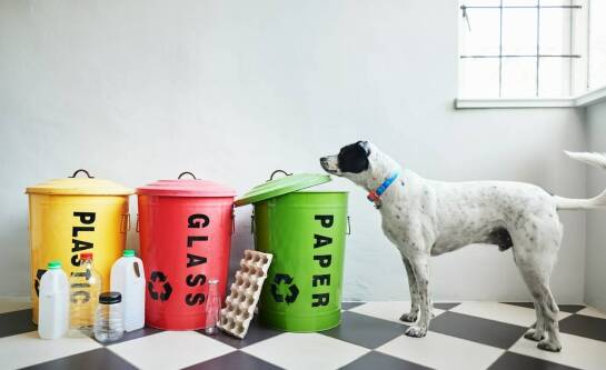 Butelki po oleju – do jakiego pojemnika wyrzucać?