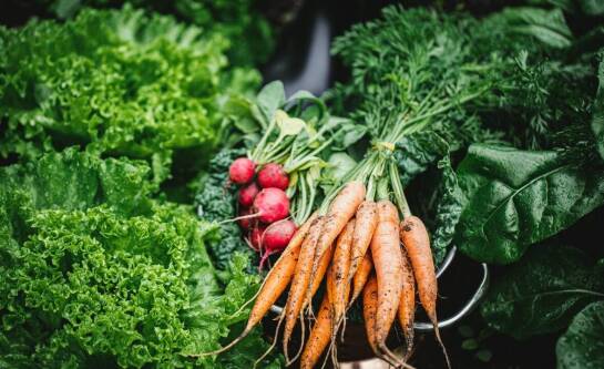 Ile kosztuje wiklina?