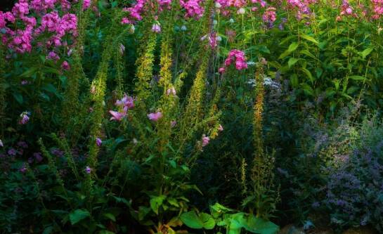 Jaki staw można wykopać bez zezwolenia?