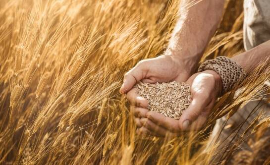 Ile wynosi składka KRUS w 2026 roku?