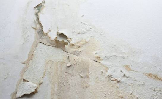 Jak skutecznie usunąć grzyba z sufitu?