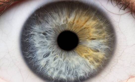 Ile dioptrii ma zdrowe oko człowieka?