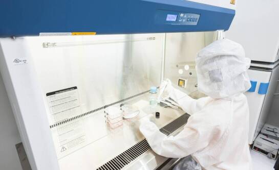 Co to jest test PCR i jak działa?
