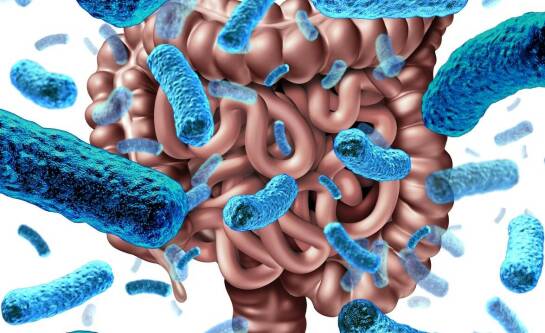 Jak dbać o bakterie jelitowe?