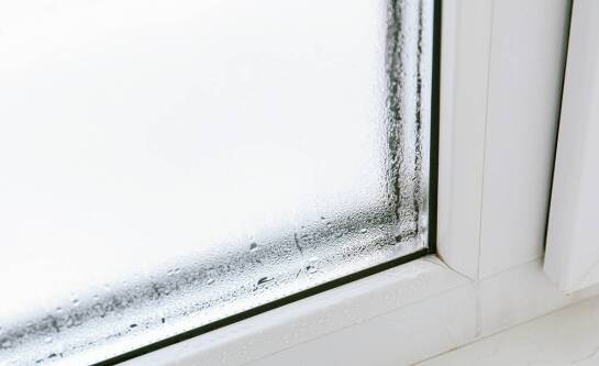 Jak umyć ścianę z pleśni domowymi sposobami