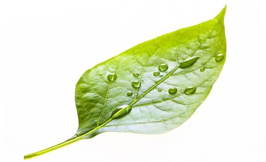 Co dzieje się z dwutlenkiem węgla w atmosferze?