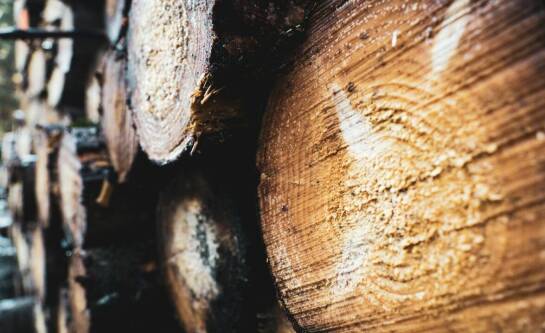 Jakie są standardowe wymiary palet?