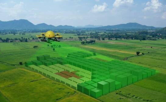 Jaki pH metr do gleby wybrać?