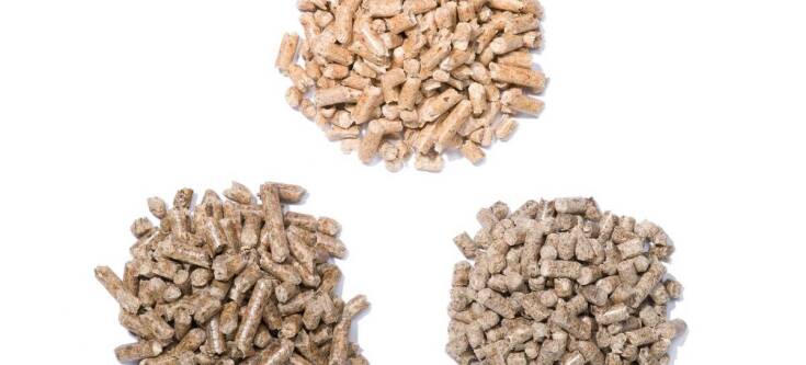 Czy ekogroszek jest naprawdę ekologiczny?