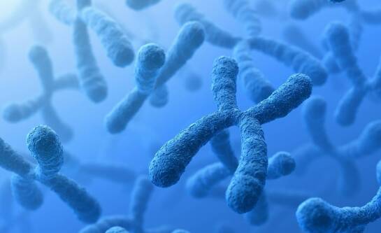 Czym jest badanie kariotypu i na czym polega