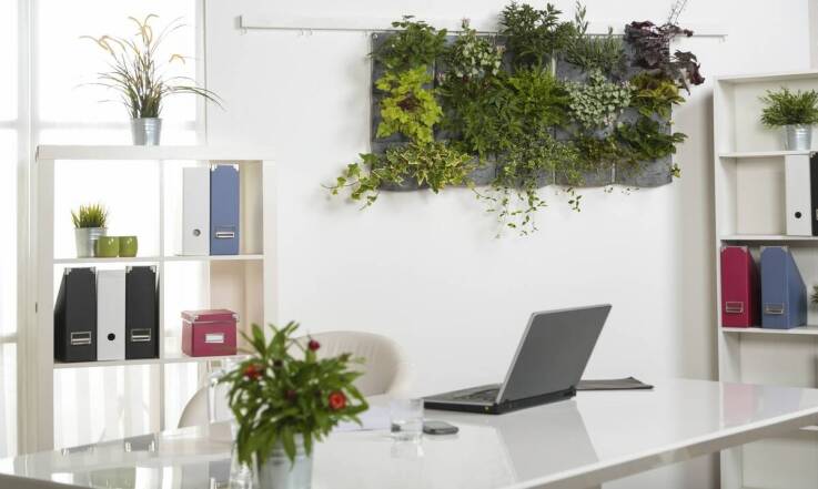 Zielone ściany jako element wspierający psychiczne zdrowie pracowników