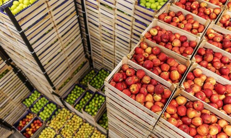 Rola lokalnych producentów w naszej owoców przetwórni