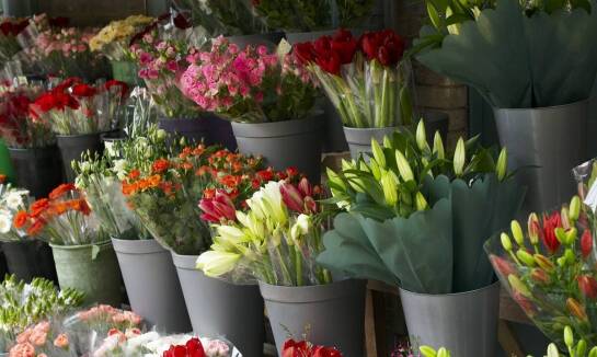 Kwiaciarnia przy zakładzie pogrzebowym: oferta kwiatów i wieńców na różne okazje