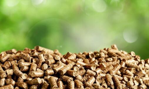 Wpływ liściastych zrębek na energetyczną wartość opału