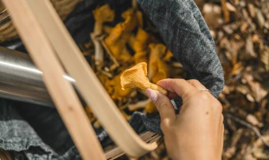 Jak naturalne gąbki mogą stać się unikalnym prezentem z Kołobrzegu?