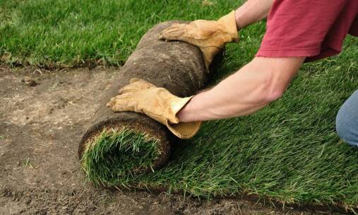 Wybór trawnika w rolkach – na co zwrócić uwagę przy zakupie?