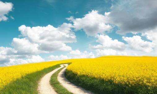 Weekendowa ucieczka z miasta: co zobaczyć niedaleko Warszawy?