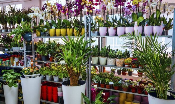 Różnorodność kwiatów w wieńcach pogrzebowych oferowanych w Lublinie