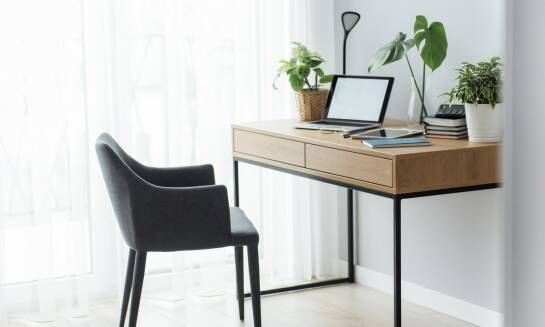 Jakie kwiaty najlepiej sprawdzą się w dekoracji biura?