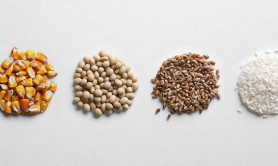 Znaczenie świeżości surowców w produkcji paszowej mieszanki dla drobiu