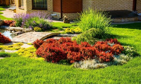 Projektowanie ogrodów w kontekście zmieniającego się klimatu