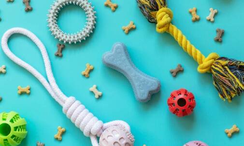 Zalety węchowej maty w codziennym życiu psa: jak poprawia jego samopoczucie?