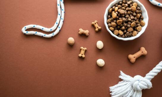 Rola zwierzęcego białka w karmach dla psa i kota od producenta