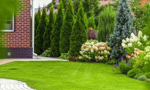 Efektywne zakładanie ogrodów: jak firma w Oleśnicy spełnia marzenia klientów?