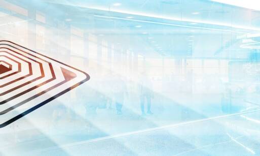 Busy z Polski do Belgii: Przewaga weekendowych podróży nad innymi opcjami transportu