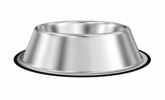 Co jest potrzebne w schronisku dla zwierząt?