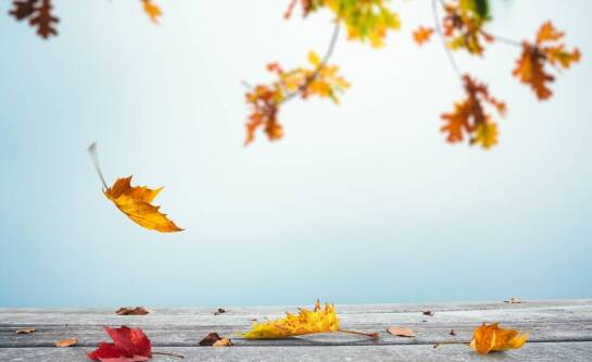 Jak przeżyć żałobę i poradzić sobie z trudnymi emocjami