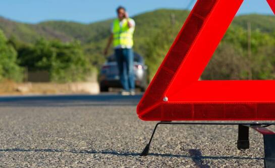 Potrącenie dzikiego zwierzęcia – gdzie dzwonić?