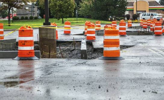 Gdzie zgłosić martwego kota?