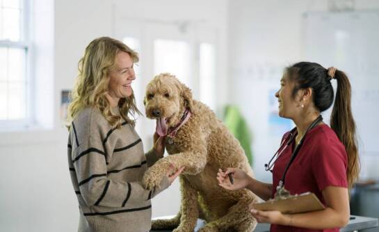 Czy weterynarz jest dzisiaj otwarty?