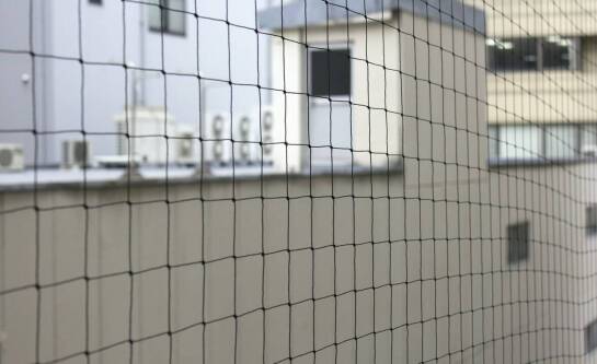 Jak skutecznie odstraszyć jaskółki z elewacji domu?