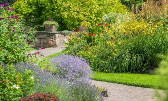 Jakie liściaste drzewa warto wybrać do wiejskiego ogrodu?