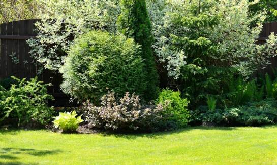 Profesjonalna pielęgnacja ogrodów – jak podnosimy standardy w Pułtusku?