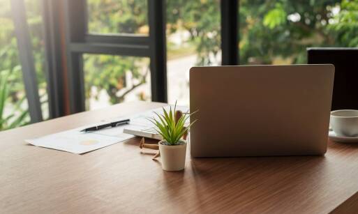 Wnioski o unijne dotacje na inicjatywy związane z ochroną środowiska: przewodnik