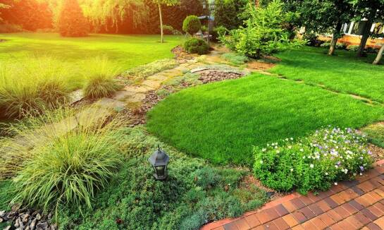 Projektowanie ogrodów: jak dostosować projekt do warunków terenowych?