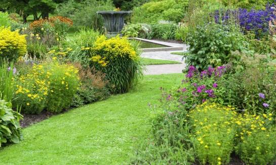 Jak odpowiednio dobrać rośliny do projektowanego ogrodu?