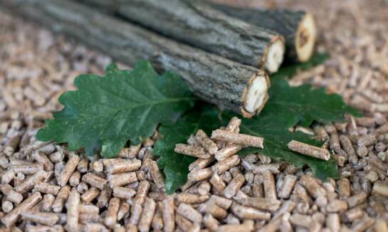 Jakie techniczne parametry wyróżniają drewniane kołki 8 mm na tle innych?