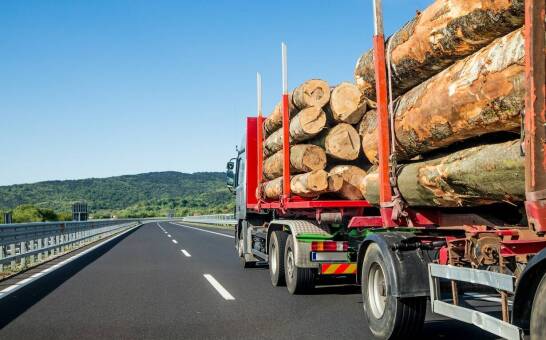 Wpływ nowoczesnych technologii na organizację transportu dłużycowego