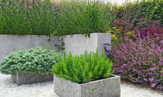 Jakie ozdobne krzewy najlepiej komponują się w nowoczesnych projektach ogrodowych?