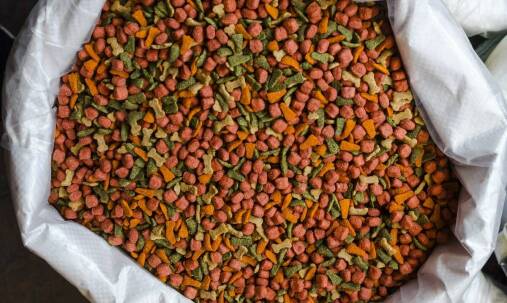 Jakie innowacyjne składniki wprowadza producent karmy dla poprawy zdrowia u zwierząt?