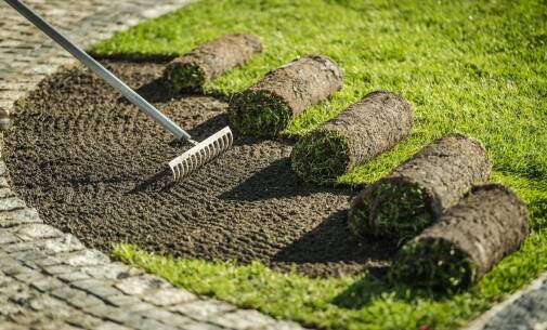 Proces aplikacji piasku na trawniki – najważniejsze wskazówki