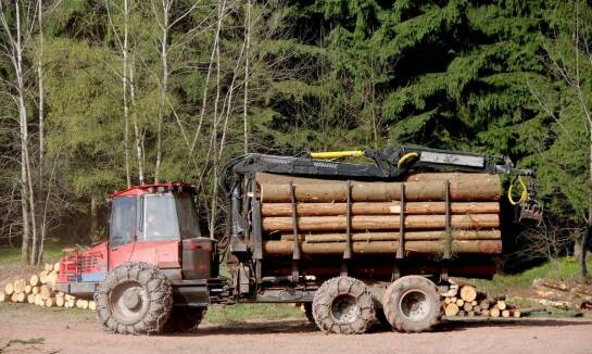 Efektywność transportu drewna – jak ją zapewniamy?